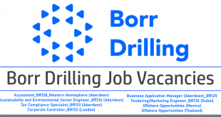 Borr Drilling Jobs 2022