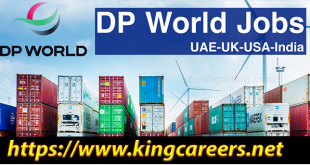 Dp World Dubai Company Job 2023