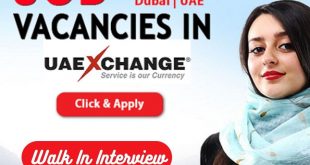 UAE Exchange Career