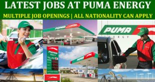 Puma Careers & jobs