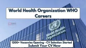 World Health Organization Careers 2026 - Hiring Staff - Free Apply Now 21 World Health Organization Careers